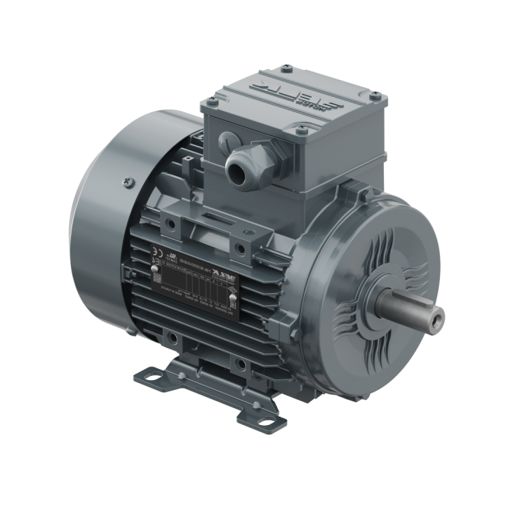 ELK 2,2 kw 3 HP 3000 Trifaze Motor