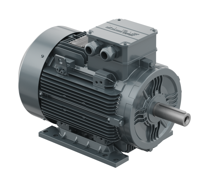 ELK 22 kw 30 HP 3000 Trifaze Motor
