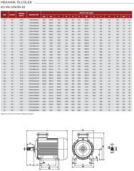 VOLT 30 kw 40 HP 3000 d/d Döküm Trifaze Motor