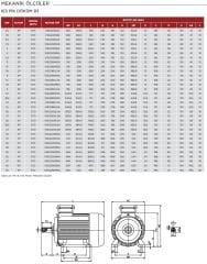 VOLT 30 kw 40 HP 3000 d/d Döküm Trifaze Motor