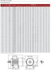 VOLT 1.1 kw 1.5 HP 1500 Trifaze Motor