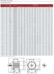 VOLT 11 kw 15 HP 1000 Trifaze Motor