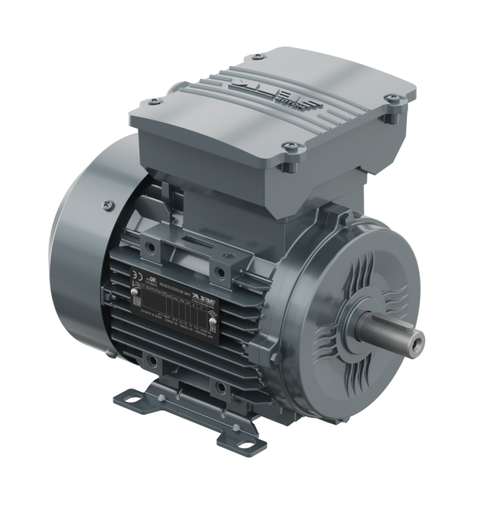 ELK 2,2 kw 3000 Monofaze Motor (Kalkış+Daimi Kondansatörlü)