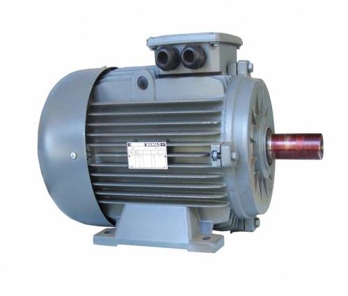 185 kw 250 HP 3000 GAMAK IE4 Döküm Trifaze Motor